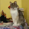 Отзыв от Эльвира Евсеева